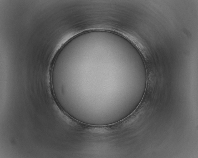 X0000116600998200912241710