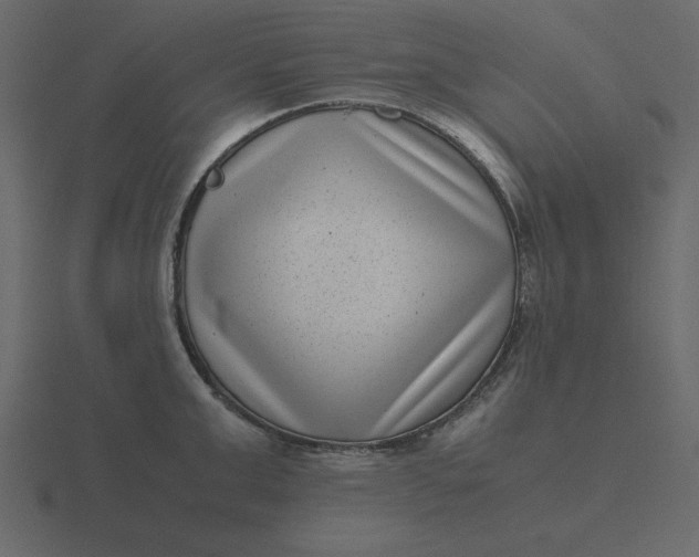 X0000116600999200912241710
