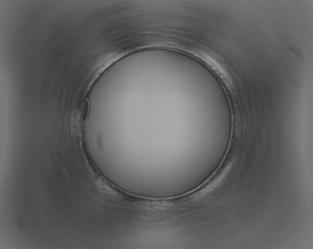 X0000116601001200912241710
