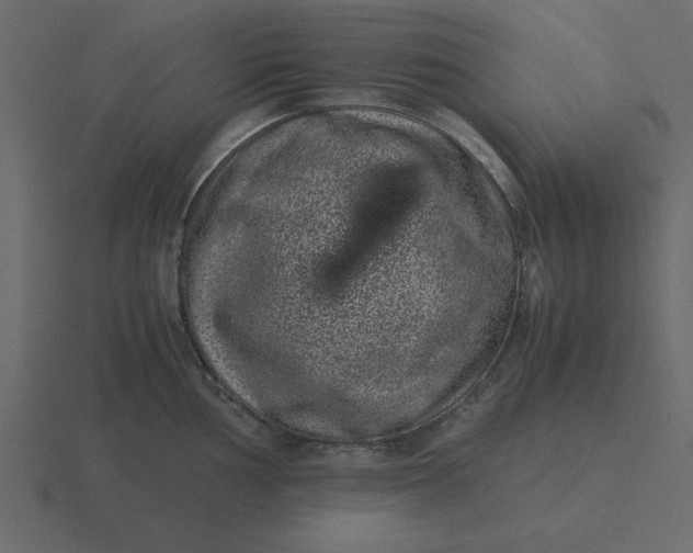 X0000116601002200912241710