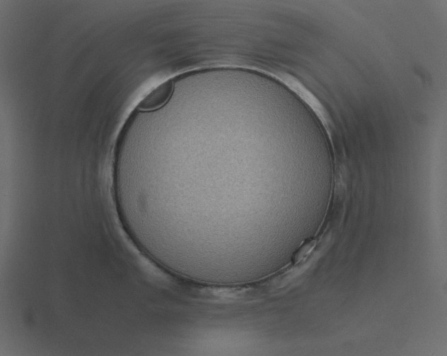 X0000116601005200912241710