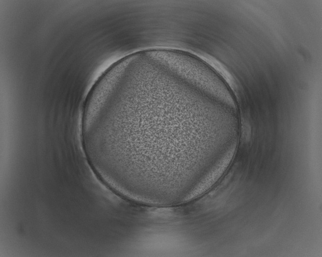 X0000116601006200912241710