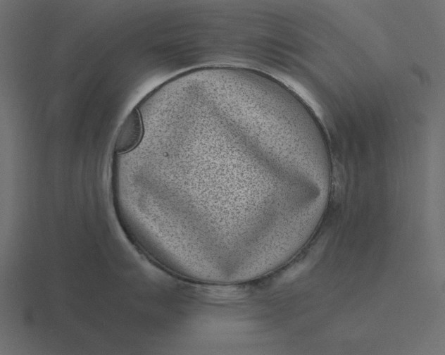 X0000116601007200912241710