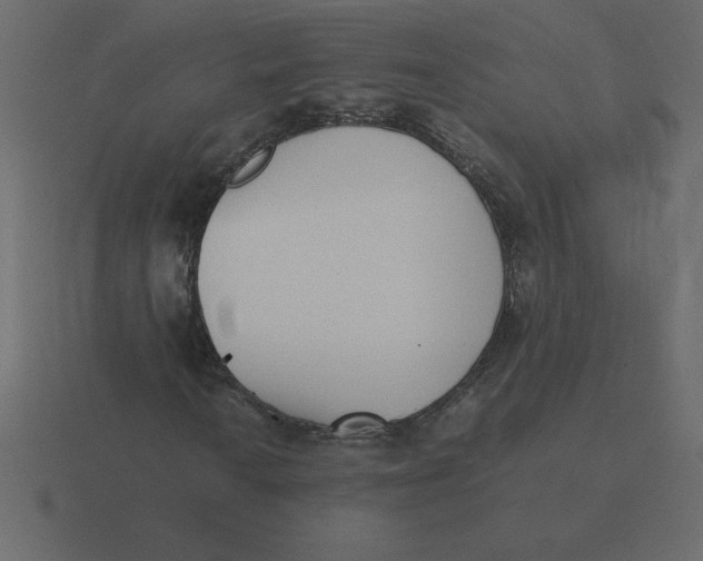 X0000116601010200912241709