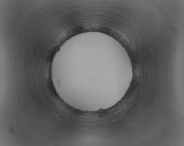 X0000116601012200912241709