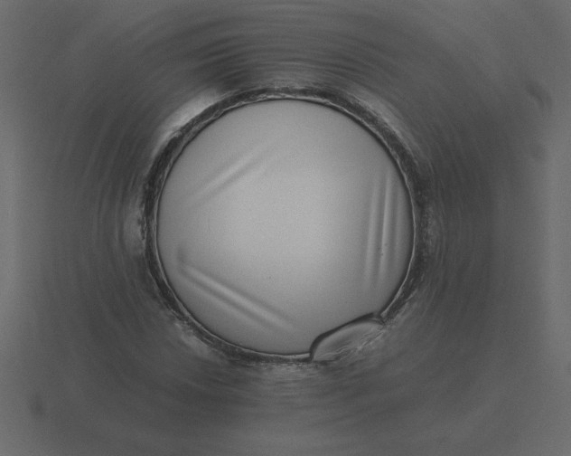 X0000116601018200912241709