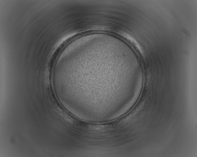 X0000116601019200912241709