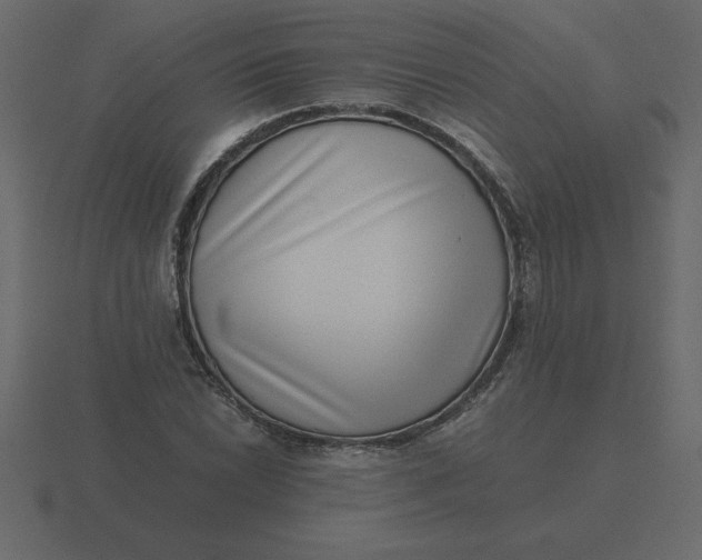 X0000116601022200912241709