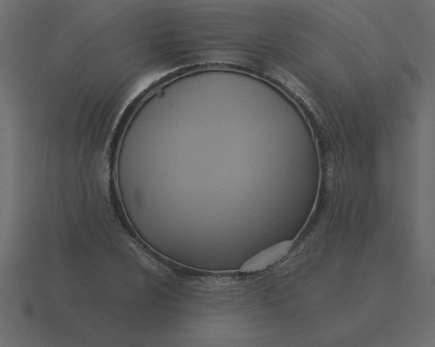 X0000116601024200912241709