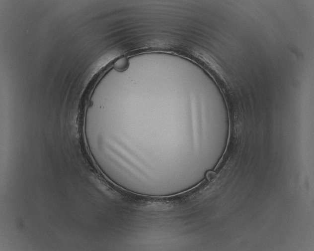 X0000116601026200912241709