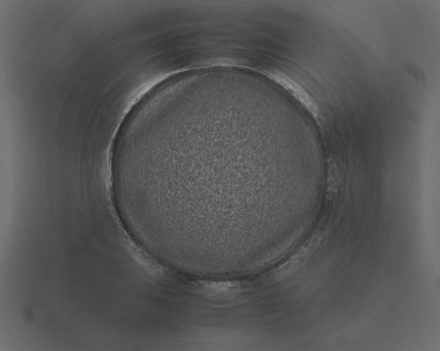 X0000116601031200912241709