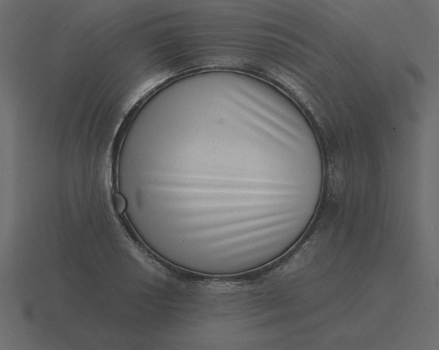 X0000116601034200912241710