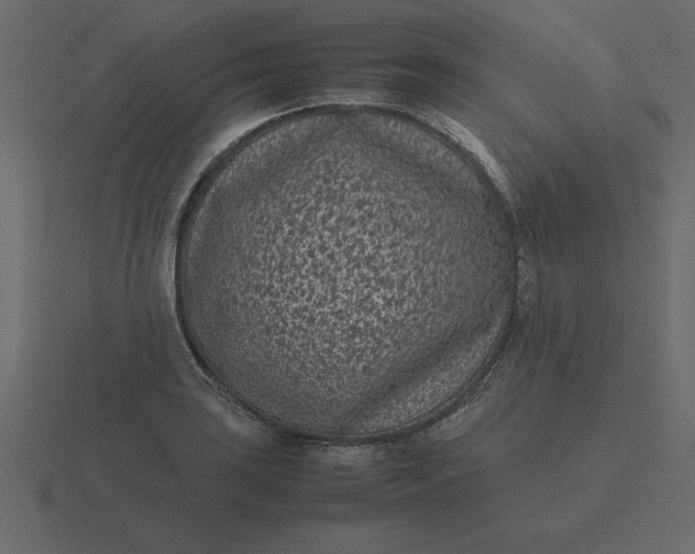 X0000116601035200912241710