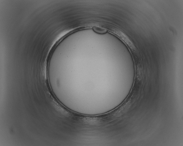X0000116601036200912241710