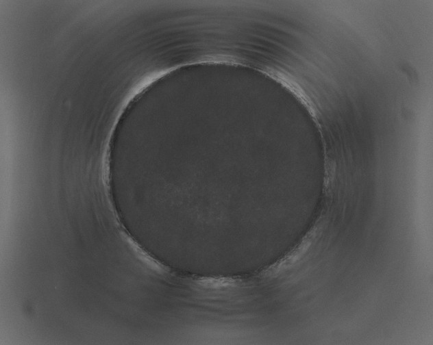 X0000116601037200912241710