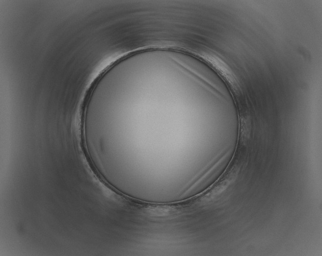 X0000116601046200912241710