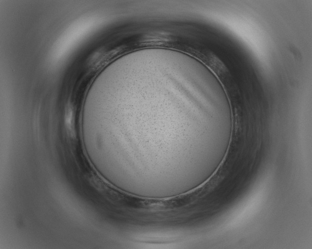 X0000116601054200912241710