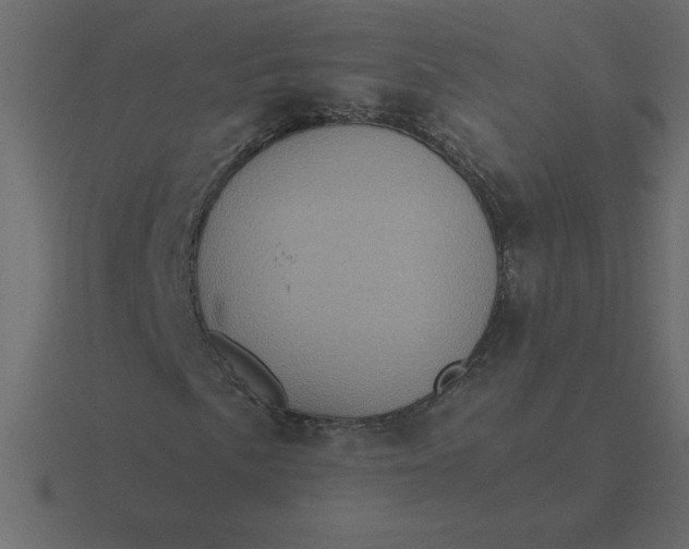 X0000116601057200912241709