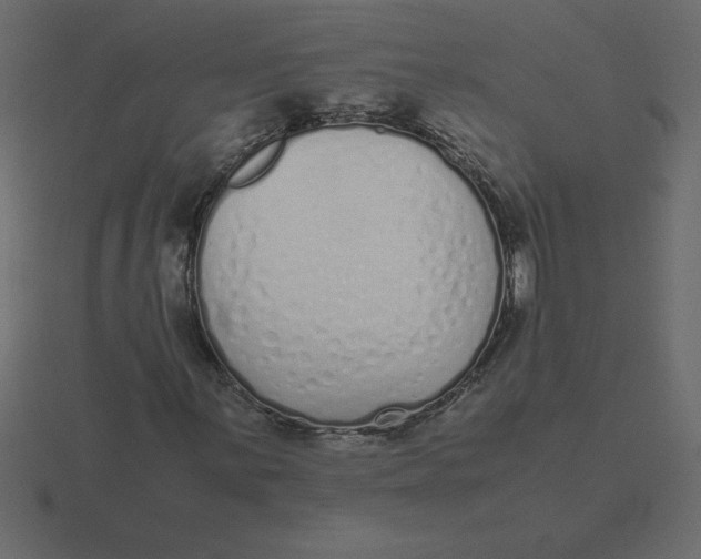 X0000116601059200912241709