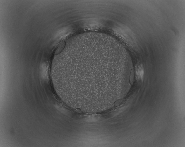 X0000116601060200912241709