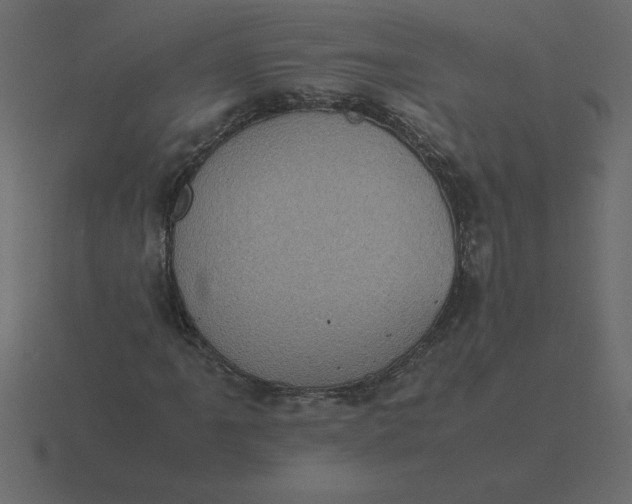 X0000116601061200912241709