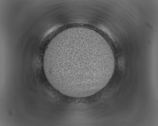 X0000116601064200912241709