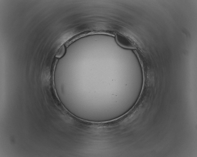 X0000116601065200912241709