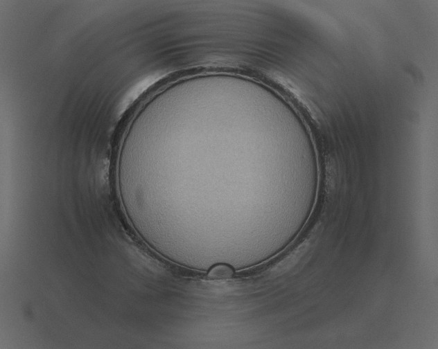X0000116601066200912241709
