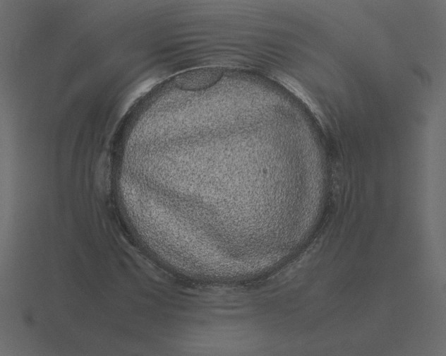X0000116601067200912241709