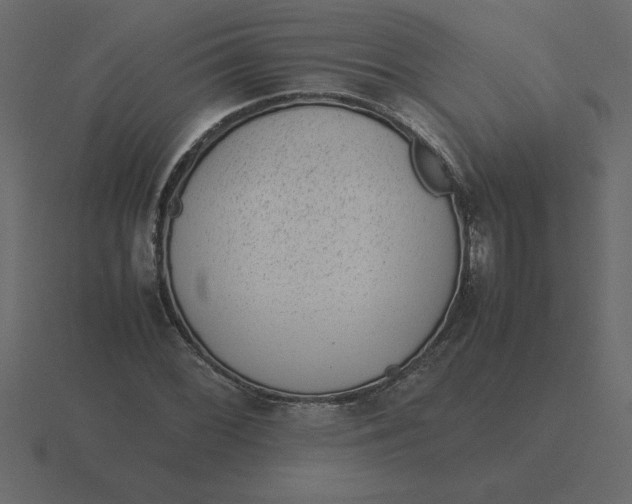 X0000116601068200912241709