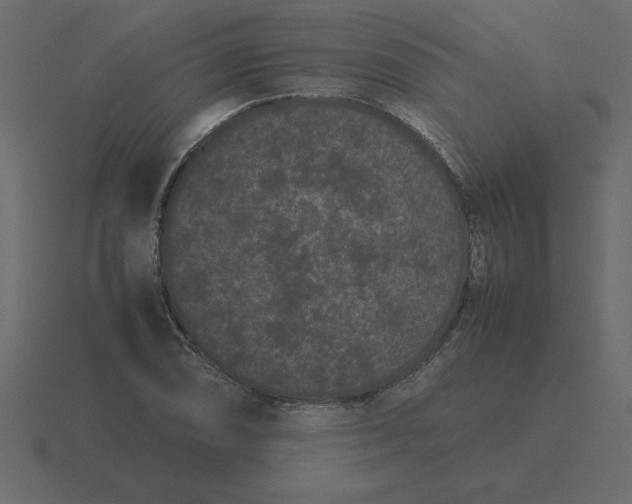 X0000116601074200912241709