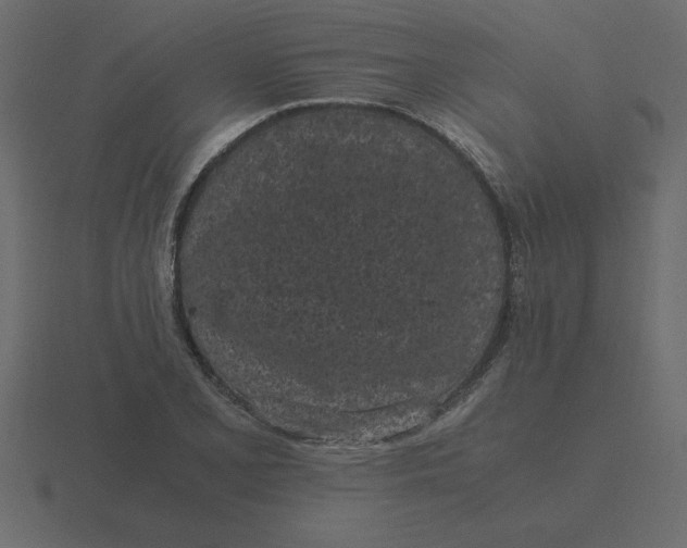 X0000116601077200912241709