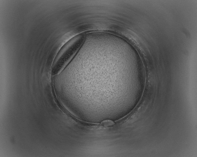 X0000116601081200912241709