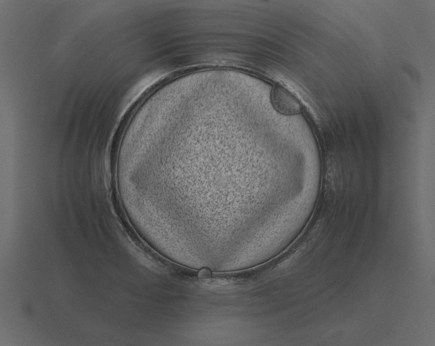 X0000116601082200912241709