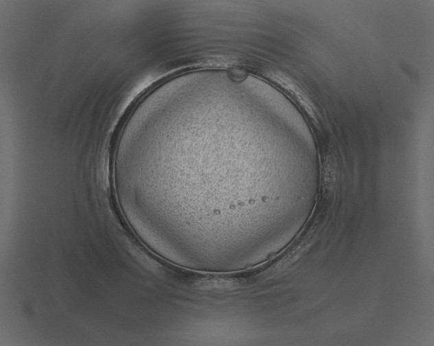 X0000116601083200912241709