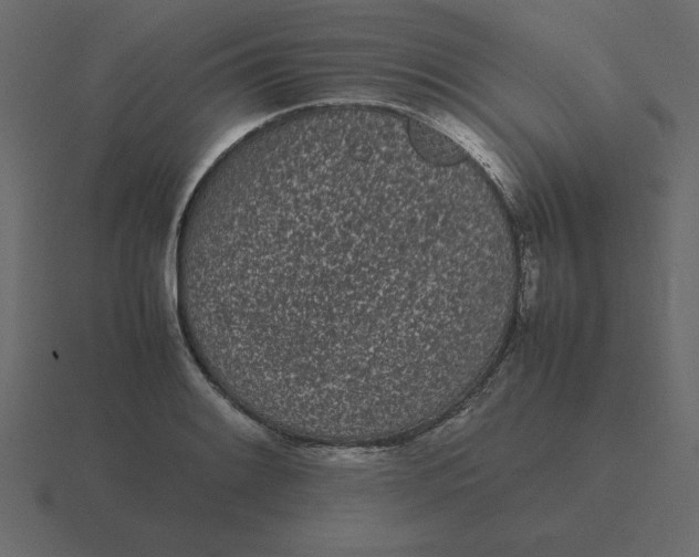 X0000116601084200912241709