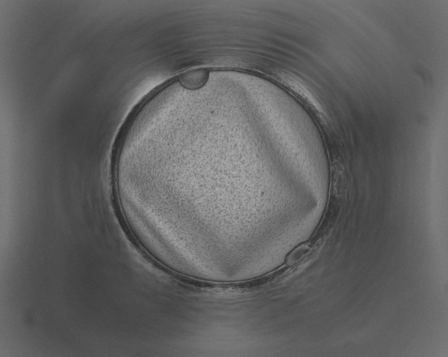 X0000116601087200912241709