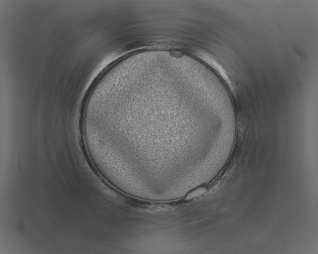 X0000116601091200912241709