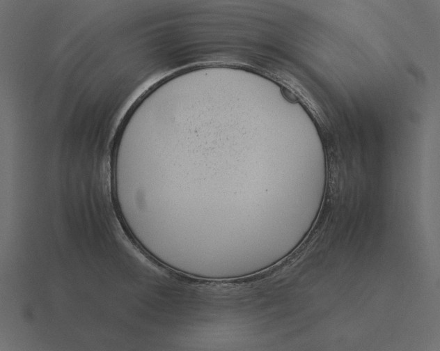 X0000116601092200912241709
