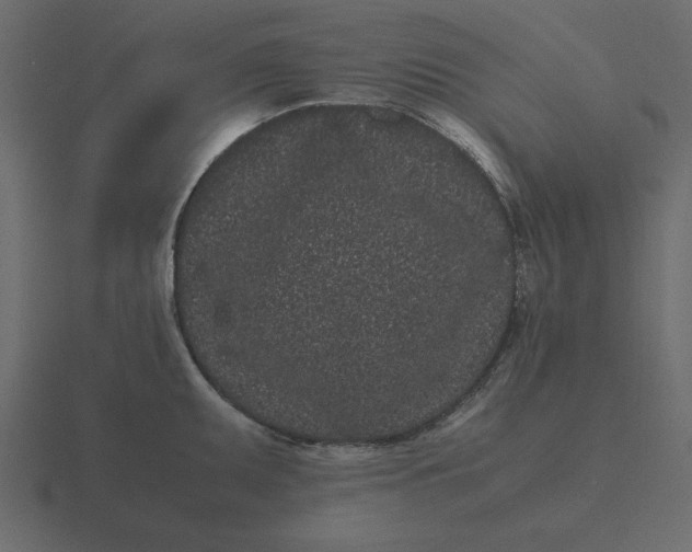 X0000116601095200912241709
