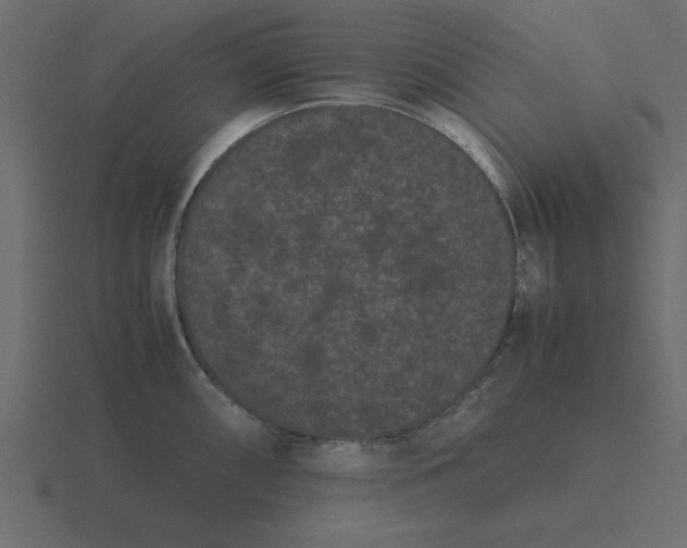 X0000116601098200912241709