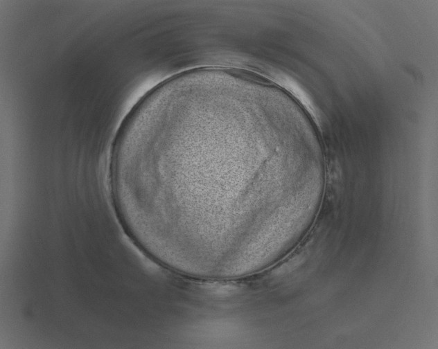 X0000116601103200912241709