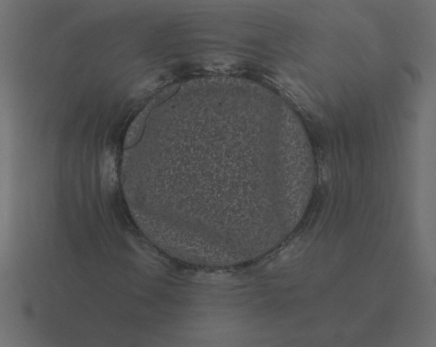 X0000116601106200912241708