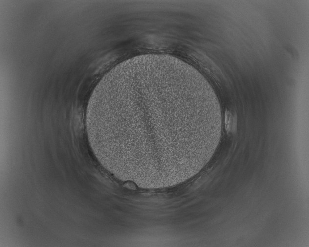 X0000116601107200912241708