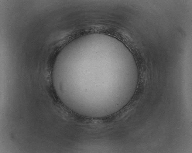X0000116601109200912241708