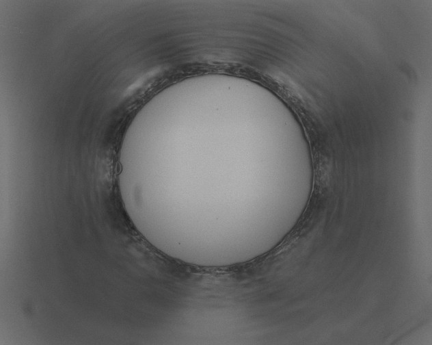 X0000116601110200912241708