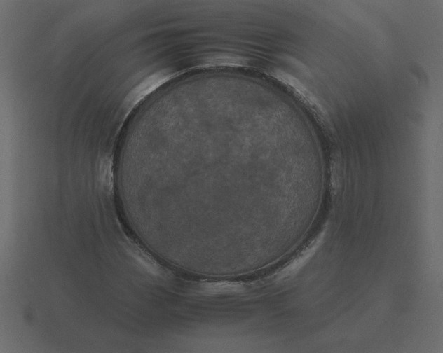 X0000116601113200912241708