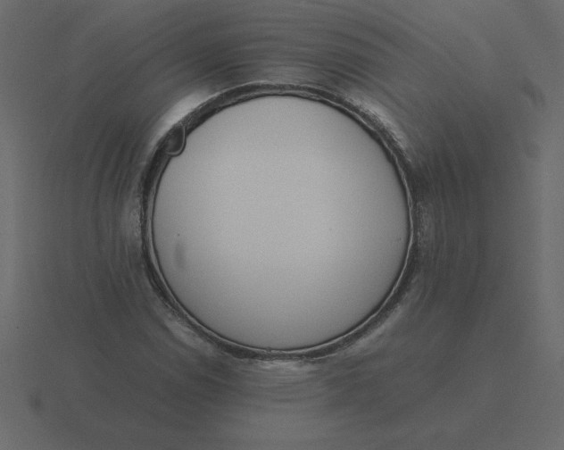X0000116601114200912241708