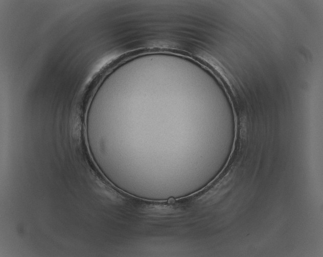 X0000116601115200912241708