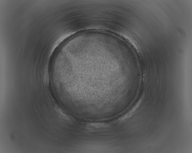 X0000116601117200912241708
